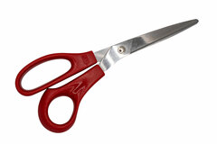 Studio Pro Lead Shears